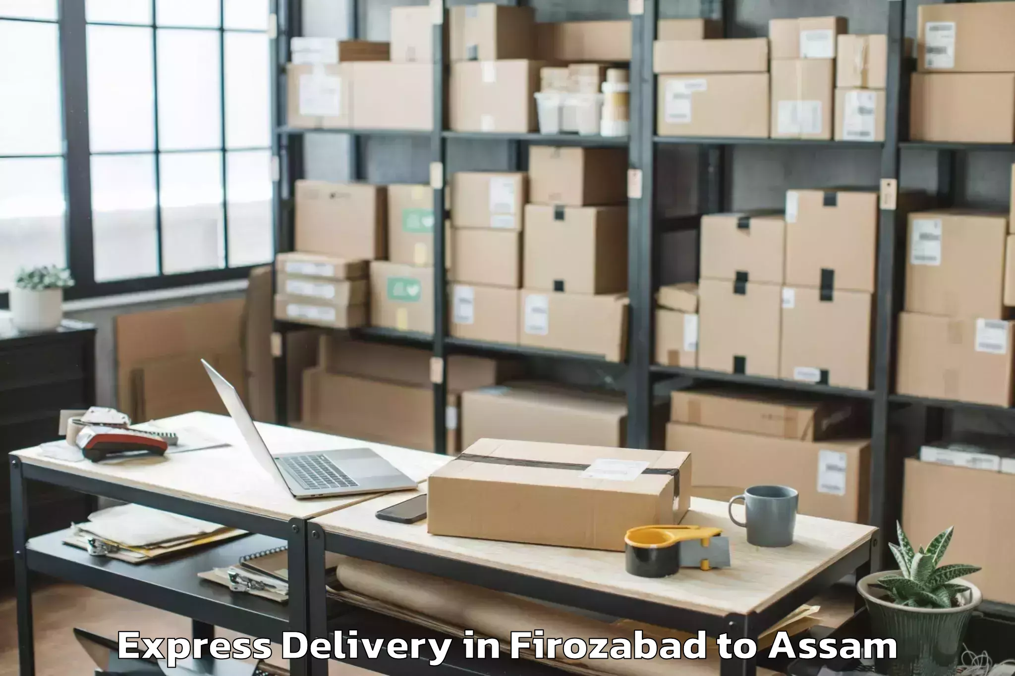 Hassle-Free Firozabad to Dibrugarh University Dibrugarh Express Delivery